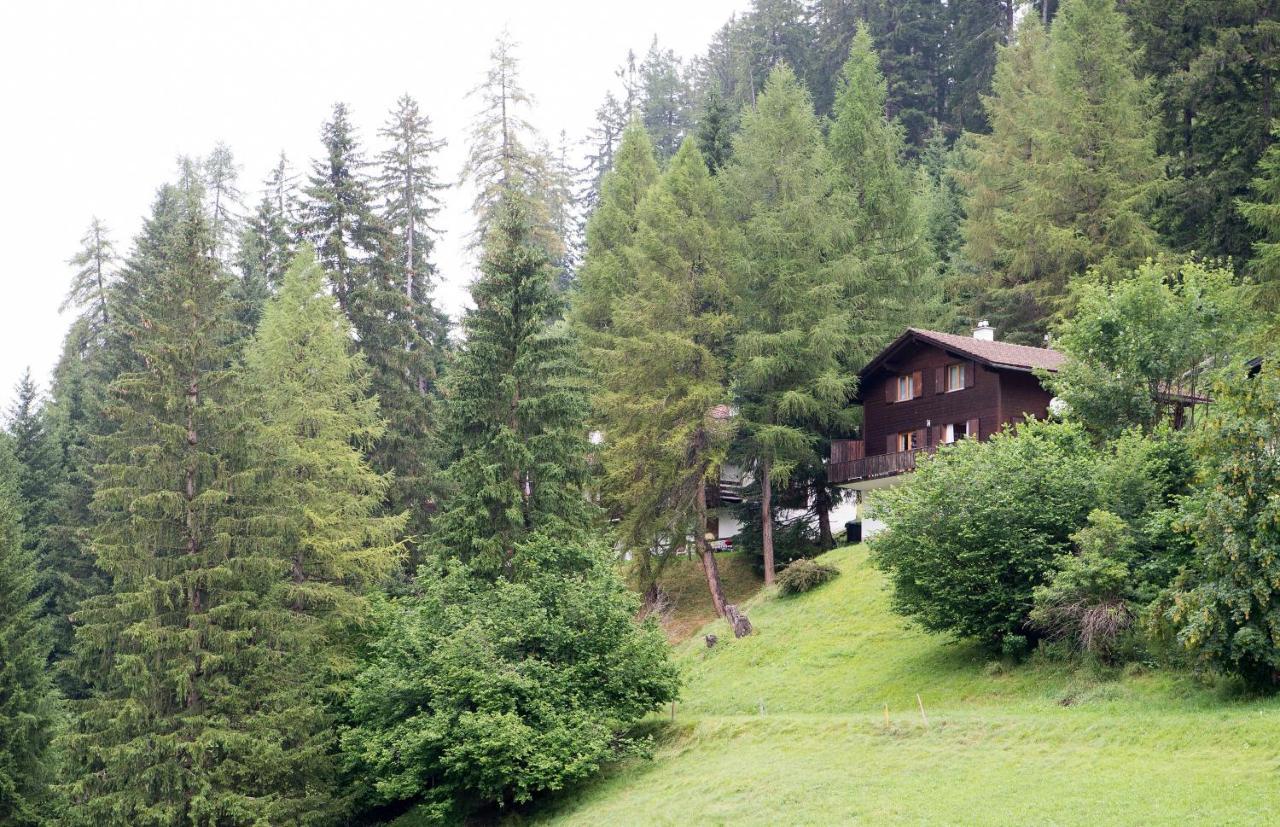 5 Room House Joch Churwalden- Lenzerheide Exterior foto